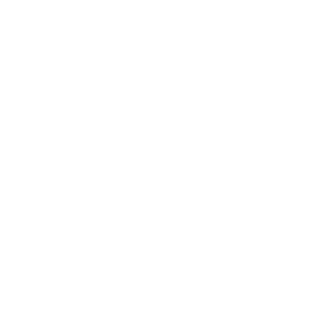 Cruise Lines