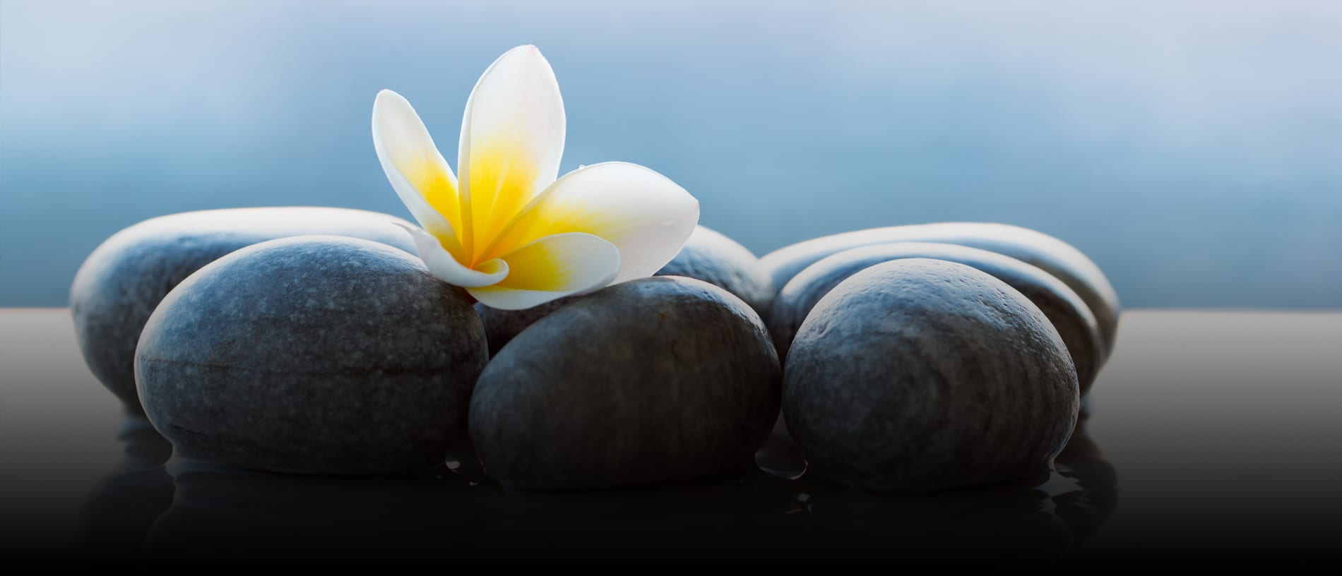 How Real-Time Availability and Online Booking Are Boosting Spa Revenue