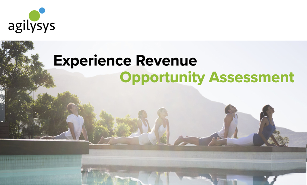 Experience Revenue Opportunity Assessment Form
