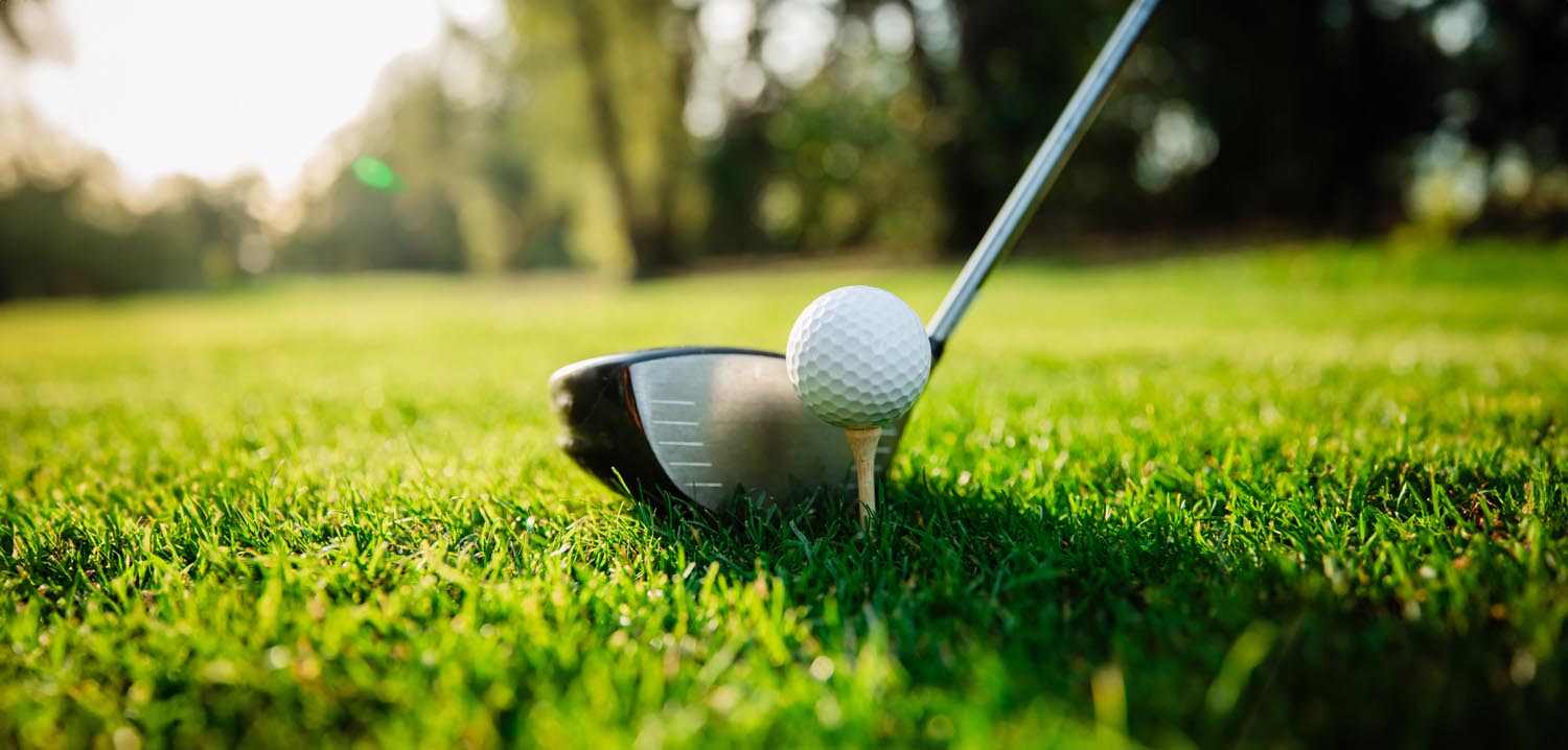 Agilysys Golf Training