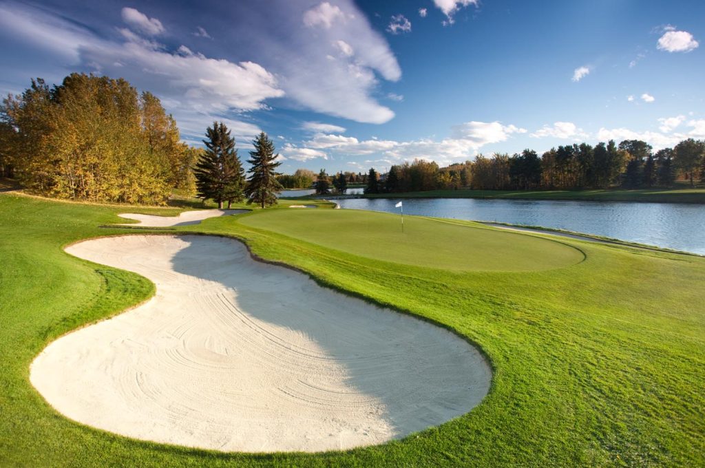 Drive Golf Corse Revenue